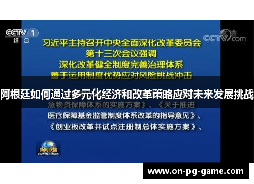 阿根廷如何通过多元化经济和改革策略应对未来发展挑战 阿根廷如何通过多元化经济和改革策略应对未来发展挑战
