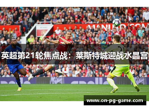 英超第21轮焦点战:莱斯特城迎战水晶宫 英超第21轮焦点战:莱斯特城迎战水晶宫